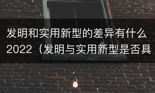 发明和实用新型的差异有什么2022（发明与实用新型是否具有实用性）