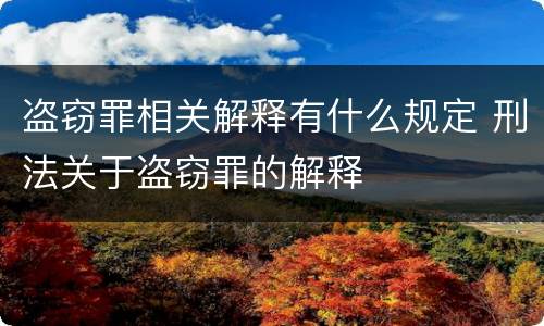 盗窃罪相关解释有什么规定 刑法关于盗窃罪的解释