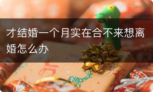 才结婚一个月实在合不来想离婚怎么办