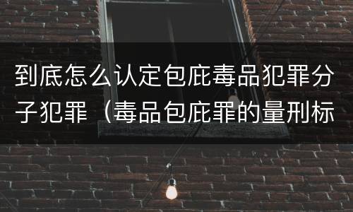 到底怎么认定包庇毒品犯罪分子犯罪（毒品包庇罪的量刑标准）