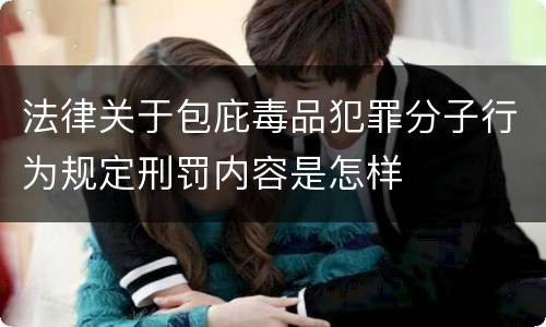 法律关于包庇毒品犯罪分子行为规定刑罚内容是怎样