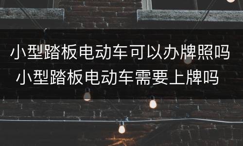 小型踏板电动车可以办牌照吗 小型踏板电动车需要上牌吗
