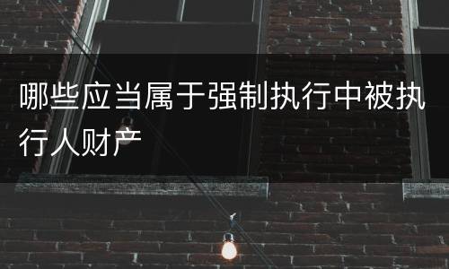 哪些应当属于强制执行中被执行人财产