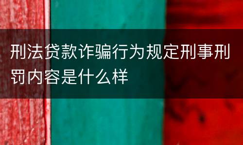 刑法贷款诈骗行为规定刑事刑罚内容是什么样
