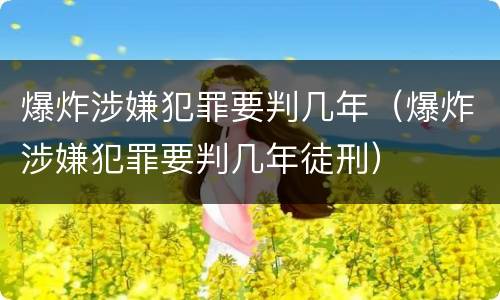 爆炸涉嫌犯罪要判几年（爆炸涉嫌犯罪要判几年徒刑）