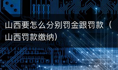 山西要怎么分别罚金跟罚款（山西罚款缴纳）
