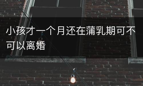 小孩才一个月还在蒲乳期可不可以离婚