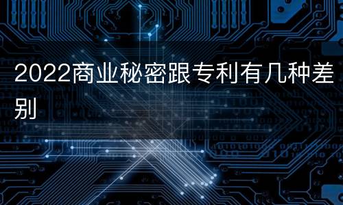2022商业秘密跟专利有几种差别