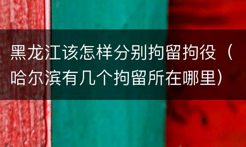 黑龙江该怎样分别拘留拘役（哈尔滨有几个拘留所在哪里）