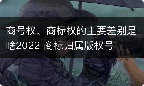 商号权、商标权的主要差别是啥2022 商标归属版权号