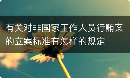 有关对非国家工作人员行贿案的立案标准有怎样的规定