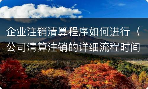 企业注销清算程序如何进行（公司清算注销的详细流程时间）