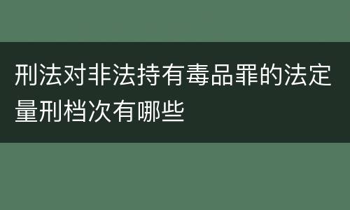 刑法对非法持有毒品罪的法定量刑档次有哪些