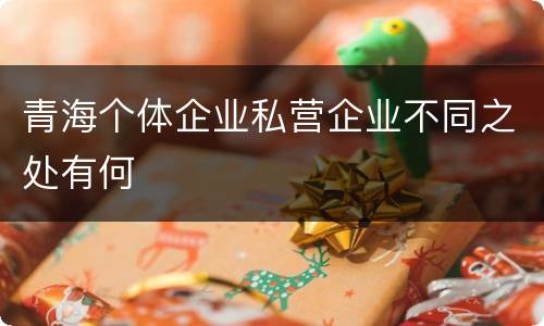 青海个体企业私营企业不同之处有何
