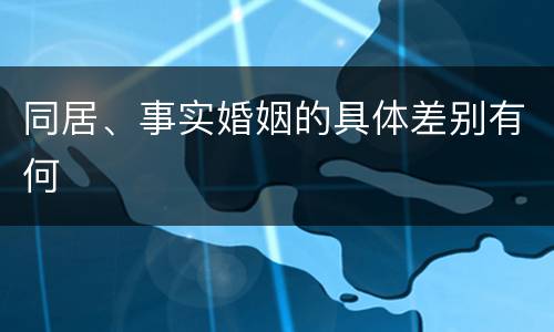 同居、事实婚姻的具体差别有何