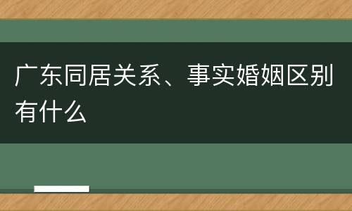广东同居关系、事实婚姻区别有什么
