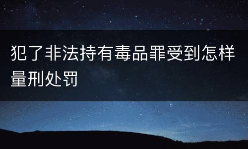 犯了非法持有毒品罪受到怎样量刑处罚