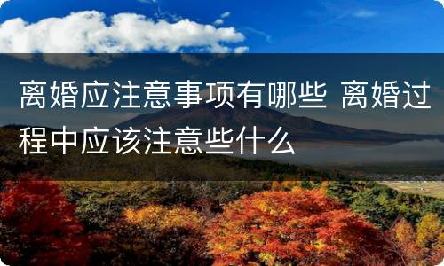 离婚应注意事项有哪些 离婚过程中应该注意些什么