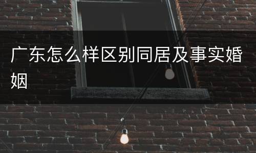 广东怎么样区别同居及事实婚姻