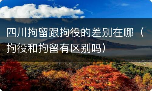四川拘留跟拘役的差别在哪（拘役和拘留有区别吗）