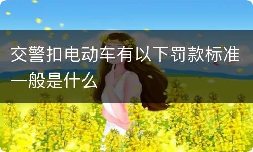 交警扣电动车有以下罚款标准一般是什么
