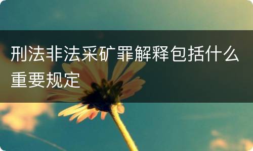 刑法非法采矿罪解释包括什么重要规定