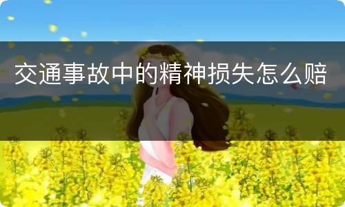 交通事故中的精神损失怎么赔