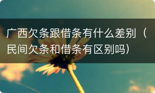 广西欠条跟借条有什么差别（民间欠条和借条有区别吗）