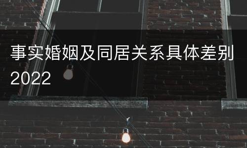 事实婚姻及同居关系具体差别2022