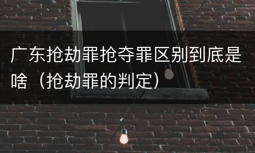 广东抢劫罪抢夺罪区别到底是啥（抢劫罪的判定）