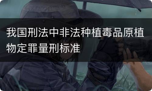 我国刑法中非法种植毒品原植物定罪量刑标准