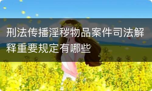 刑法传播淫秽物品案件司法解释重要规定有哪些