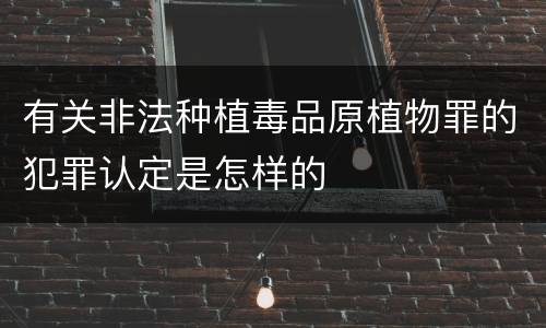 有关非法种植毒品原植物罪的犯罪认定是怎样的