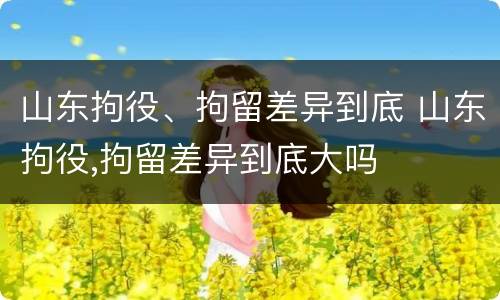 山东拘役、拘留差异到底 山东拘役,拘留差异到底大吗