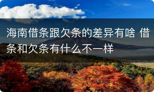 海南借条跟欠条的差异有啥 借条和欠条有什么不一样