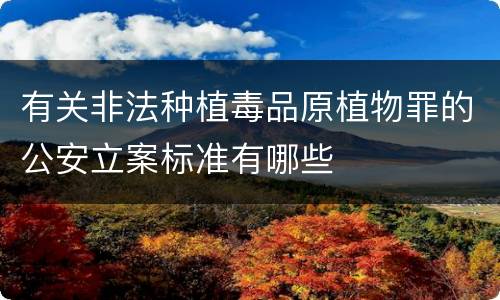 有关非法种植毒品原植物罪的公安立案标准有哪些
