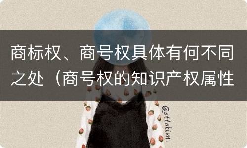 商标权、商号权具体有何不同之处（商号权的知识产权属性）