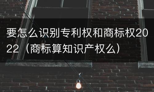 要怎么识别专利权和商标权2022（商标算知识产权么）