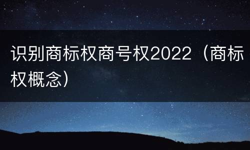 识别商标权商号权2022（商标权概念）