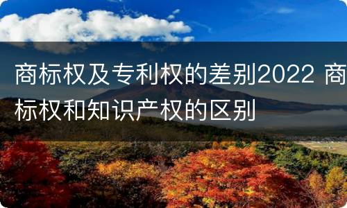 商标权及专利权的差别2022 商标权和知识产权的区别