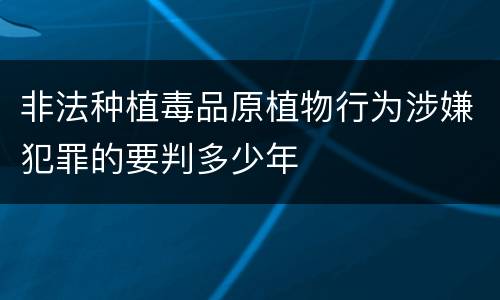非法种植毒品原植物行为涉嫌犯罪的要判多少年