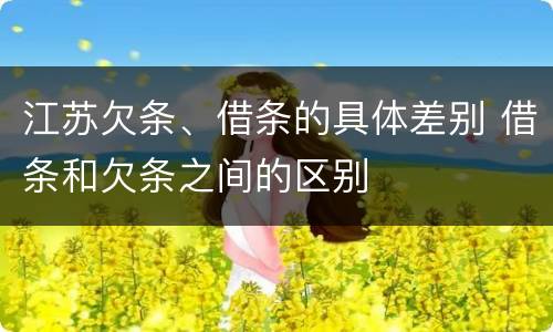 江苏欠条、借条的具体差别 借条和欠条之间的区别