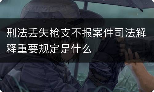 刑法丢失枪支不报案件司法解释重要规定是什么