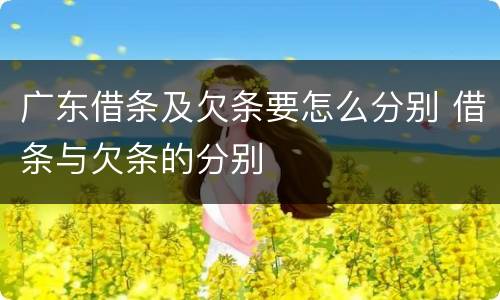 广东借条及欠条要怎么分别 借条与欠条的分别