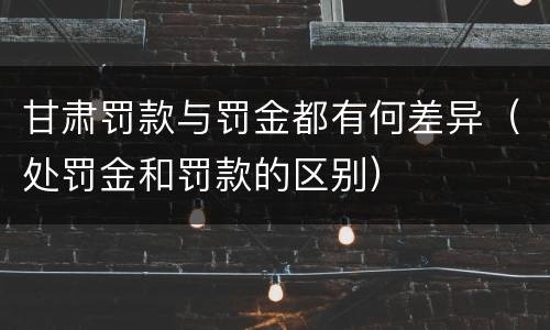 甘肃罚款与罚金都有何差异（处罚金和罚款的区别）