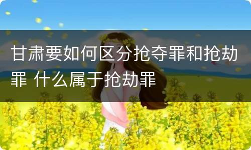甘肃要如何区分抢夺罪和抢劫罪 什么属于抢劫罪