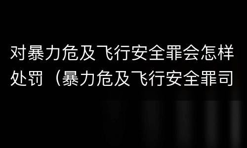 对暴力危及飞行安全罪会怎样处罚（暴力危及飞行安全罪司法解释）