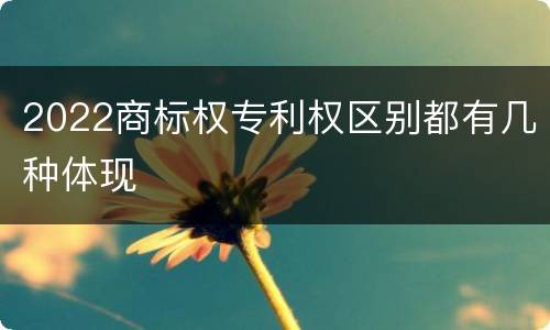 2022商标权专利权区别都有几种体现