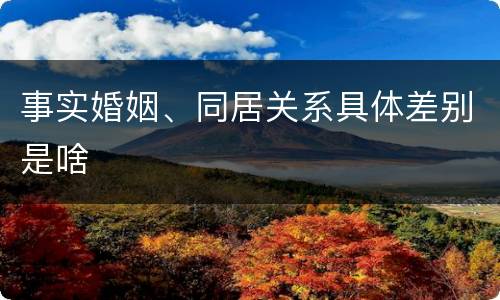 事实婚姻、同居关系具体差别是啥