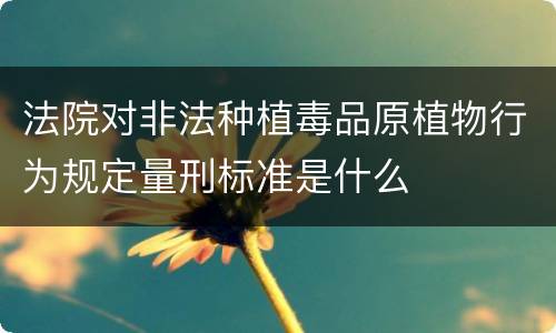 法院对非法种植毒品原植物行为规定量刑标准是什么